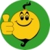 \\Wdstorage\public\Lavori attuali\000_SMILE PLANT\Raccolta icone SmilePlant\img\stato-ok.jpg